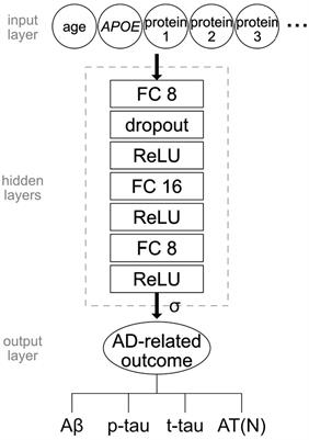 Predicting AT(N) pathologies in Alzheimer’s disease from blood-based proteomic data using neural networks